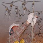 injweb00c